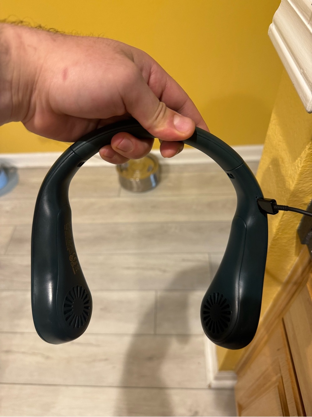 Neck fan